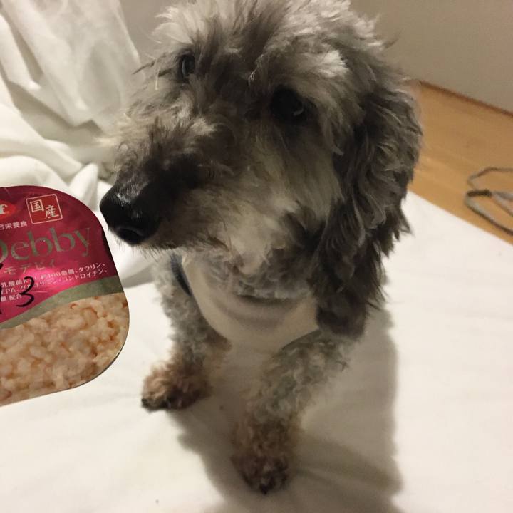 B3e0c243 4f45 46d0 9956 7d3dd4586c86 1615629430365