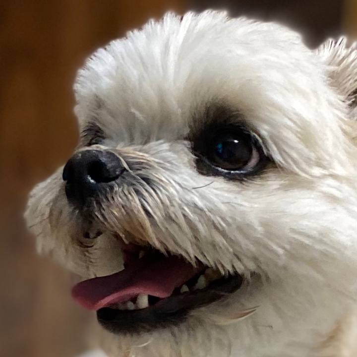 B3e0db2f 6761 462f ab22 3d9766de2309 1588950457429