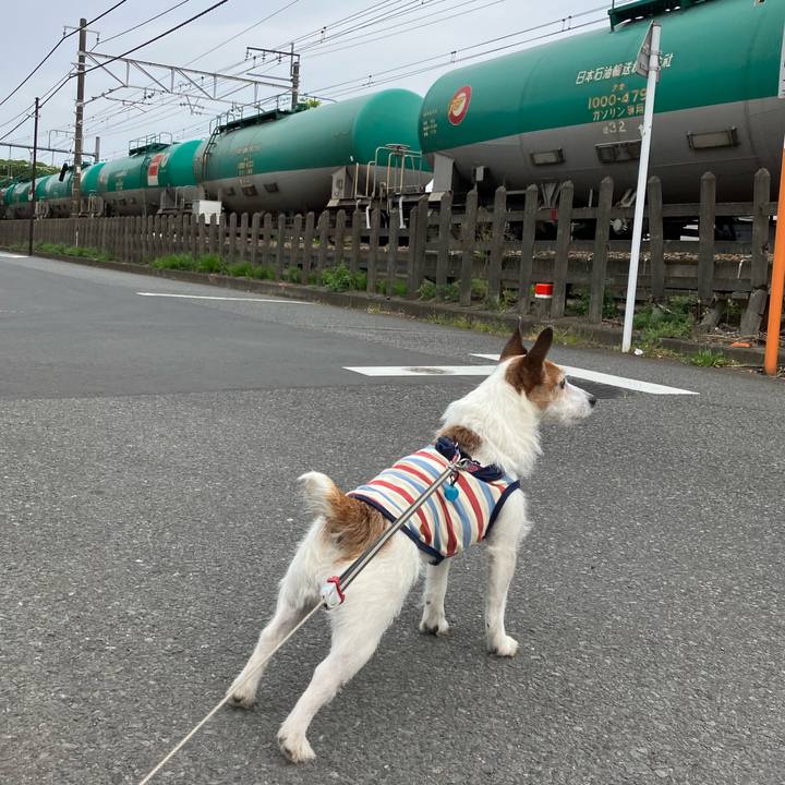 B3e0defe 2e55 4120 a6f7 4ee6ea6cc3f0 1682983626654