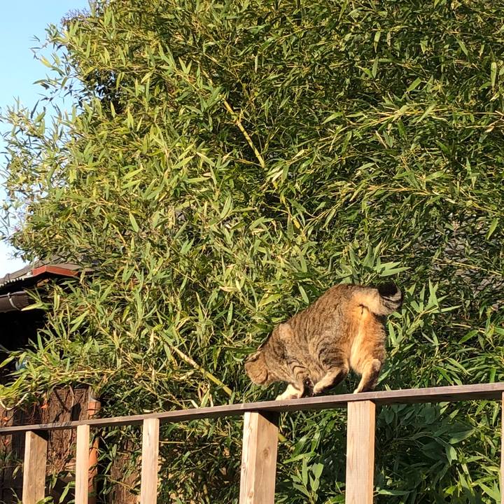 B3e0df3e 6185 4938 a72c bca6b9e0847d 1521103875212