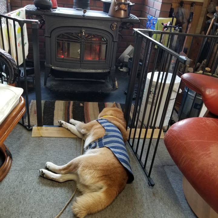 B3e0e1ba b21b 44da 8eaf 9bf576cccbea 1672099938158