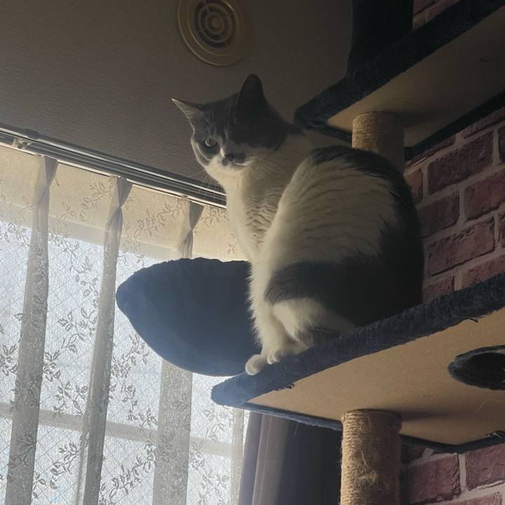 B3e10ecc cbc8 441b aa6a 35b702336487 1713064982877