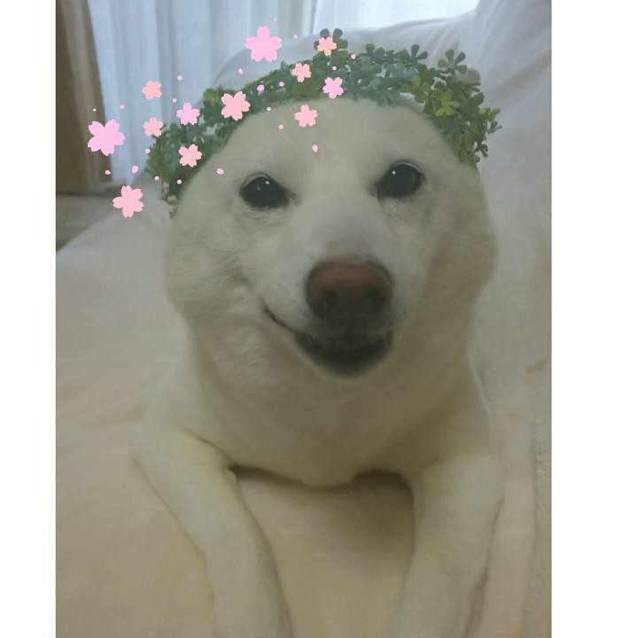 B3e10eda 8e15 43c6 88e2 04c7ab3841fc 1583890608398