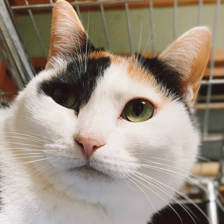 B3e16823 6aef 4fed bfb0 7a18c4a19f6a 1555984545183