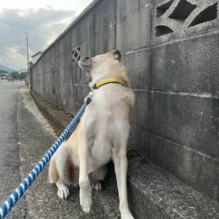 B3e16e76 4c2e 4472 b30a 990600d90fd3 1663331662481