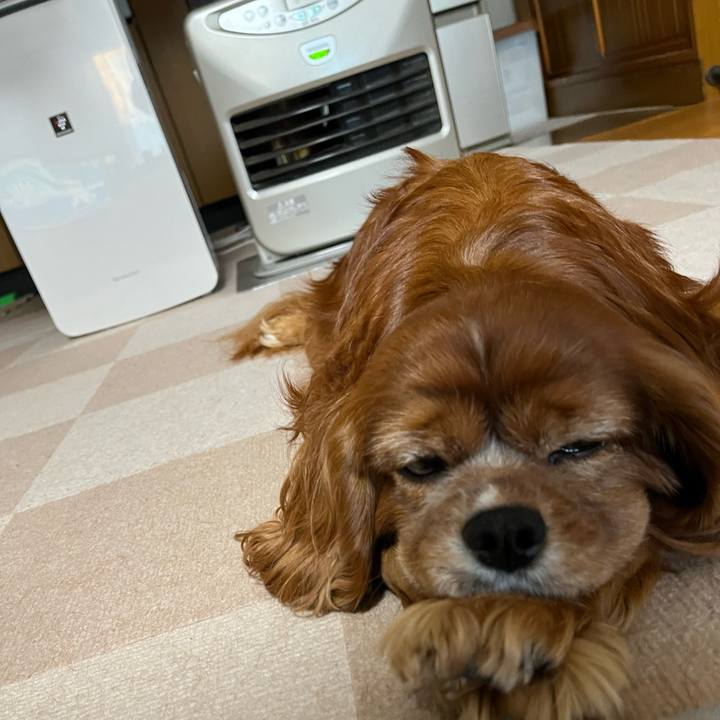 B3e1d450 228f 40fa afc8 6ce2b446a2bf 1702420157673