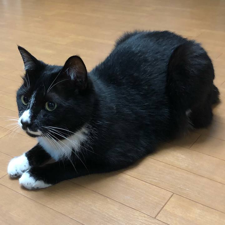 B3e1dab7 4b4a 40a6 b7af 1d8db7929f3a 1560829557217