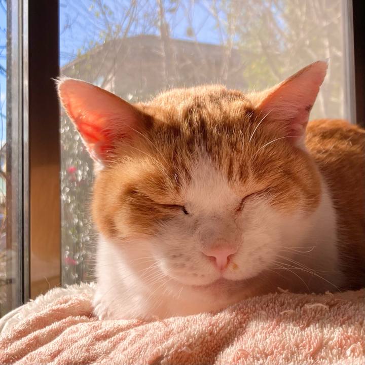 B3e20e75 8e0c 4a1f b2a6 87ea22c75a5e 1670554744302