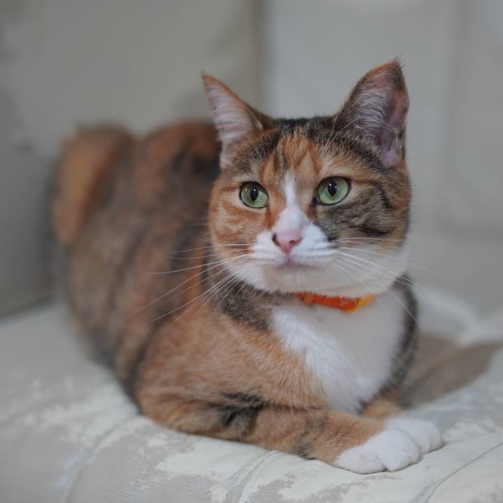 B3e277e9 2d5f 4134 9259 4485d9b3df64 1626792309223