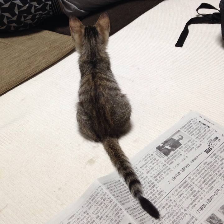 B3e2cbdc 74ac 4238 af0b 156ca4716696 1508330429078