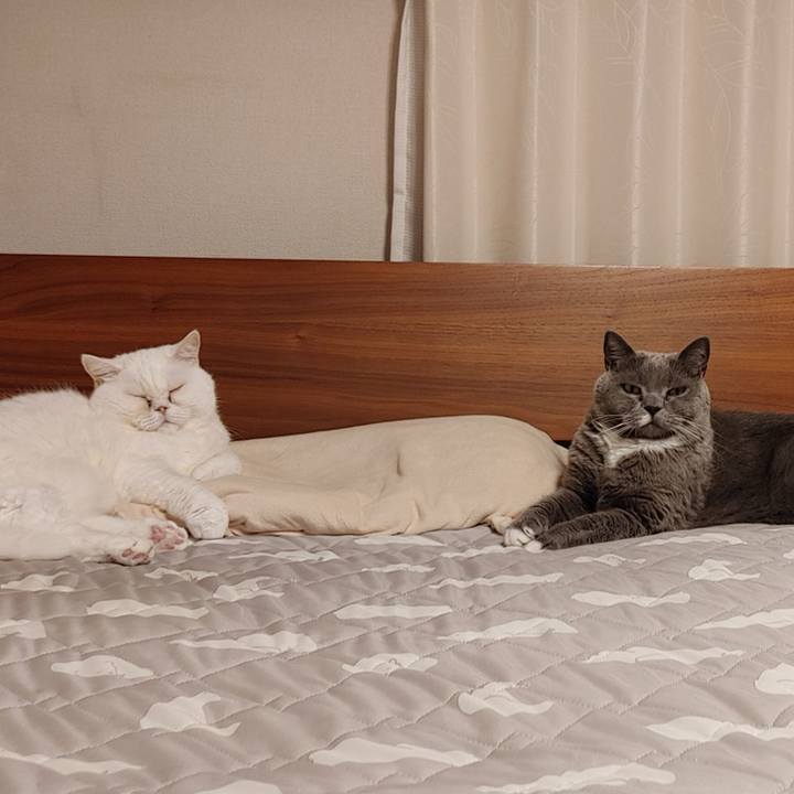 B3e2d1be ab24 4dbf af9e cdac5250ae5f 1728086903781