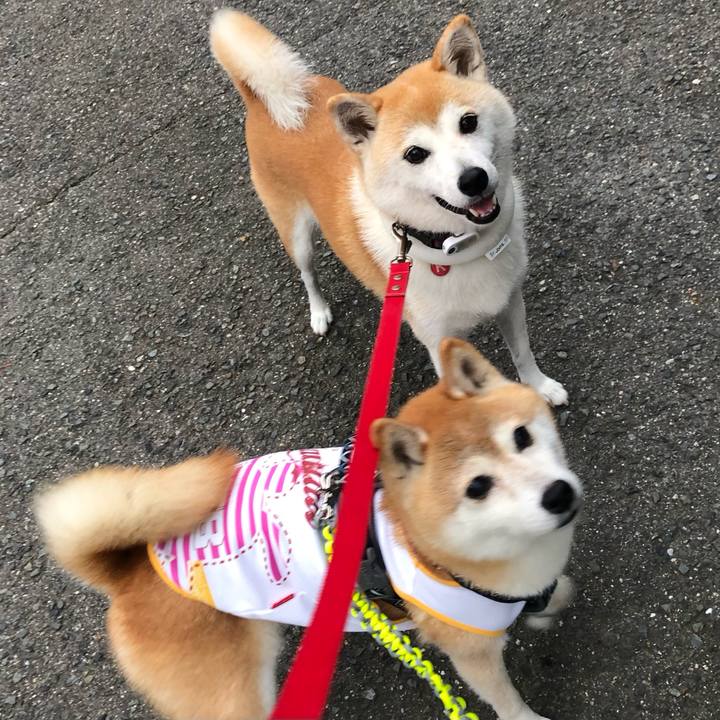 B3e2e579 5e17 4258 8676 d973da615666 1695426196651