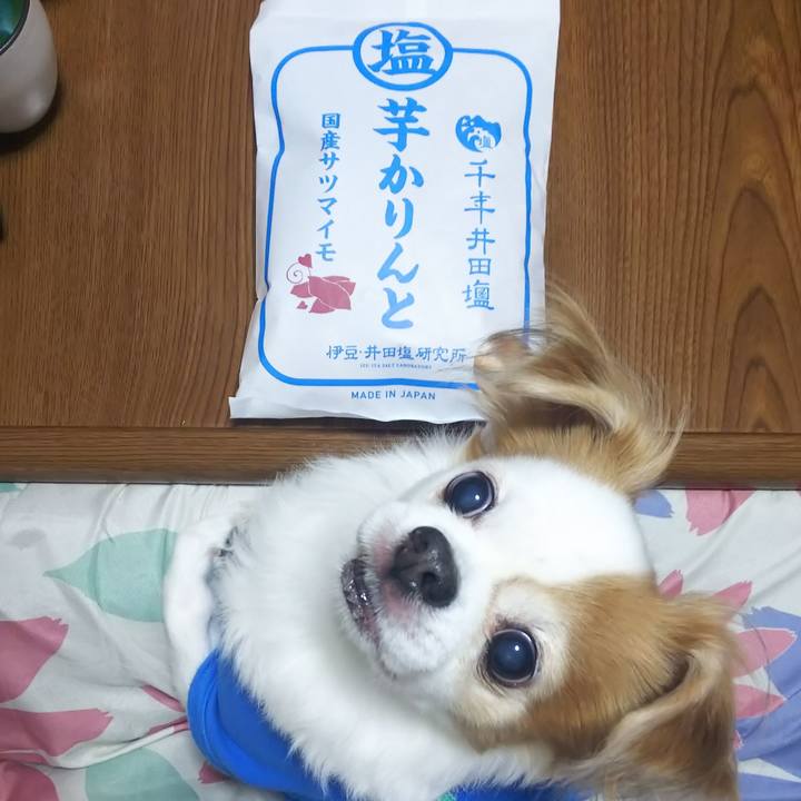 B3e2f5b7 bcc6 4e04 9b9c 90b35885c5e8 1577677415261