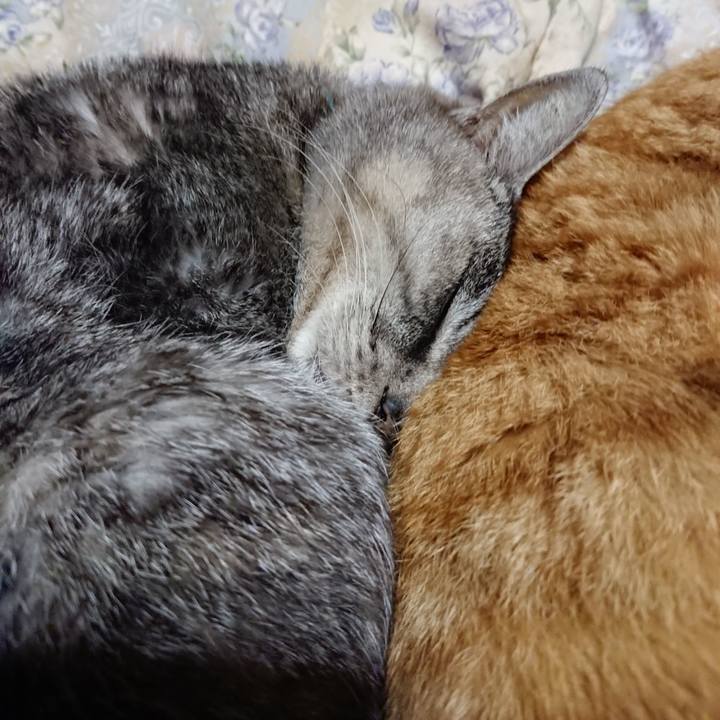 B3e317ce 0472 4f7a 9d1b 5c47da07bfb4 1576155456473