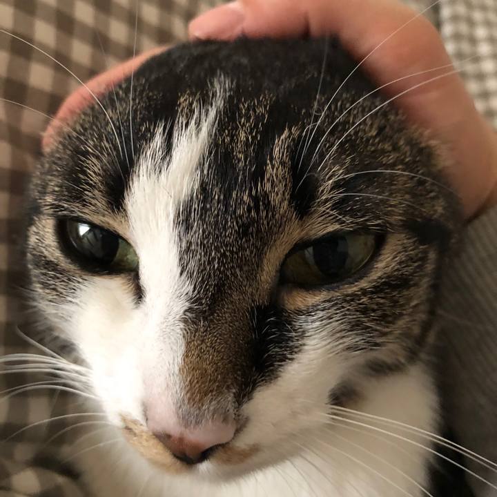 B3e3194d dafe 4323 b297 f927e2afc3e2 1520061037701