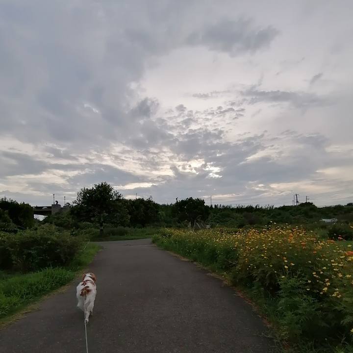 B3e31bfc 25d2 4933 a49e 2343b632d6c9 1599218908191