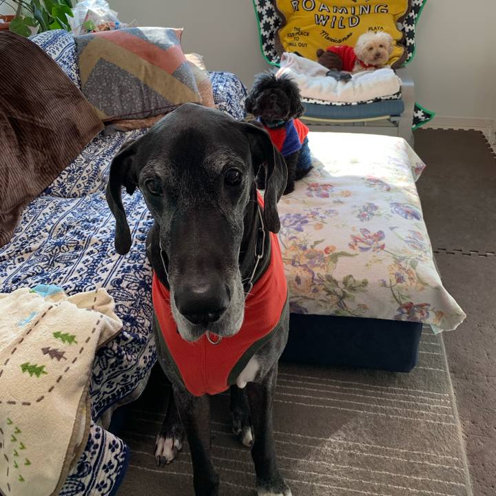 B3e32909 c3d0 4fb6 9f00 495d5b1eb4ca 1584485414165