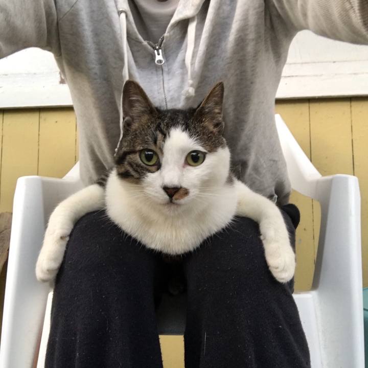 B3e34b72 0e52 4fef 8268 7f486c307842 1527983086389