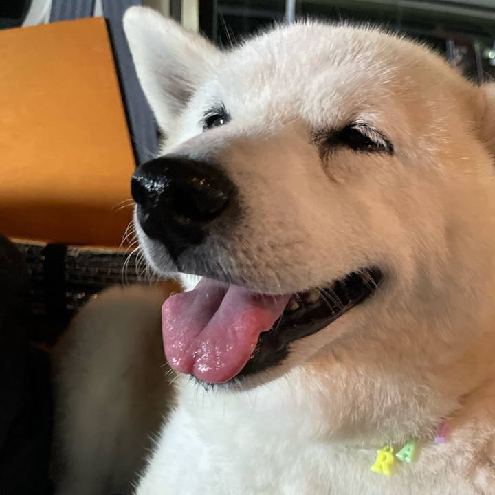 B3e35367 4008 4287 98dc 4be847c0d22e 1664272786543