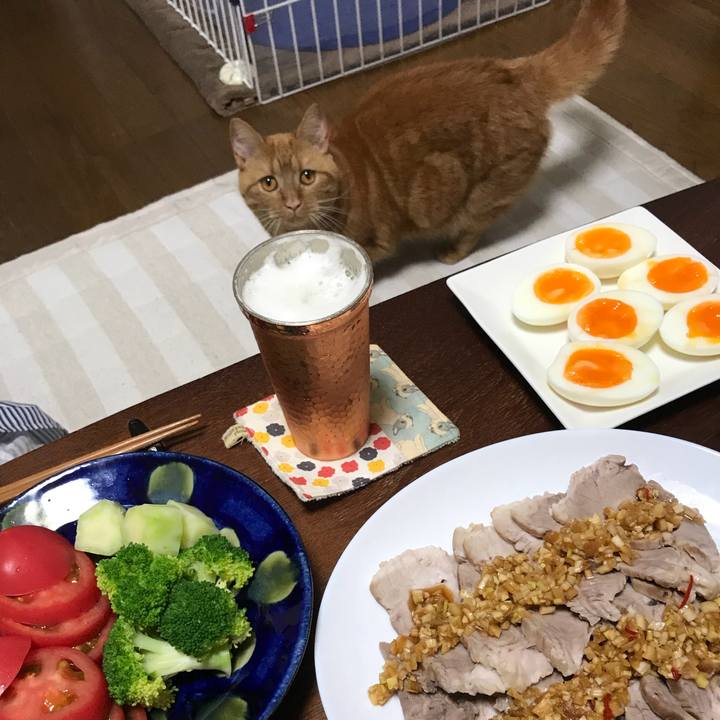 B3e37690 4a73 4f75 a834 e4054a08f067 1527683918123