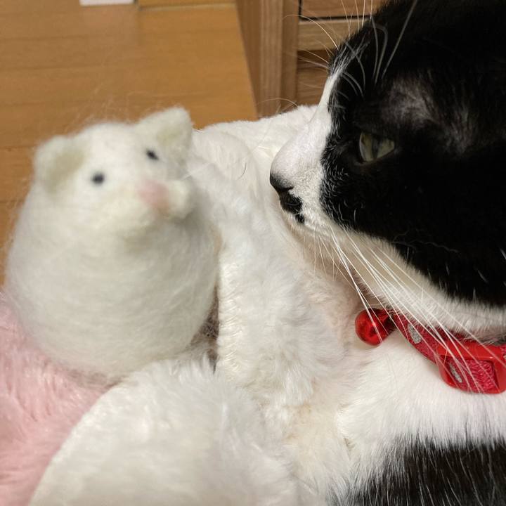 B3e37aef 5305 416e a3f6 b2e68a1802d8 1771075698154