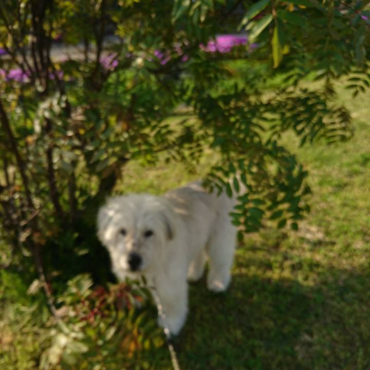 B3e38884 692c 42a6 a51b 2601623d17b7 1588321107444