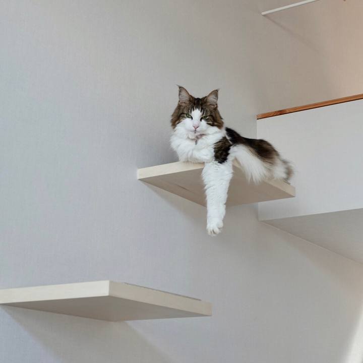 B3e3a5b6 469b 4394 b545 d24a1fe2c84a 1568684340408