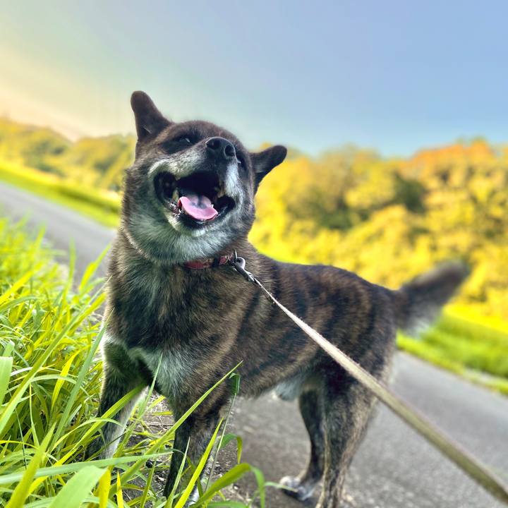 B3e3c45f e675 4ecb a93e 185defbae818 1597913157210