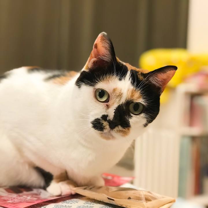 B3e3c96d 70b1 436f b5c9 488714c8a055 1515497662050