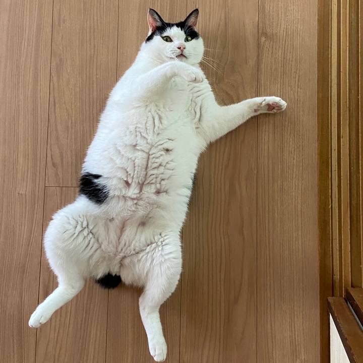 B3e3cfee 572b 48a9 a152 1b4aeb53d454 1591506992604