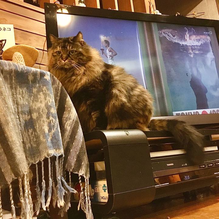 B3e3d280 ee42 401d b566 da849659289b 1575805592067