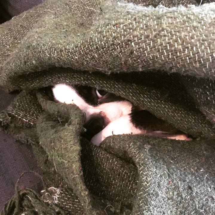 B3e3ef63 ab46 4513 a91f 030366ae74fe 1520573376361