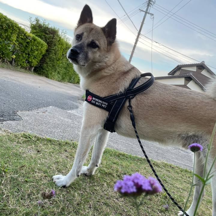 B3e43c35 941f 451f b96c 01c22c56d1ca 1726142626186