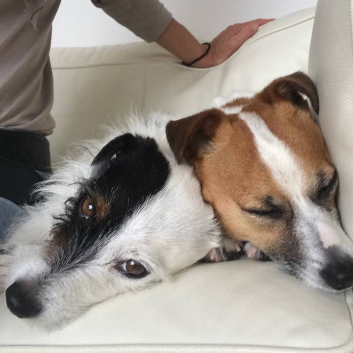 B3e44156 764e 47e8 95d9 afad7412f797 1523514069175