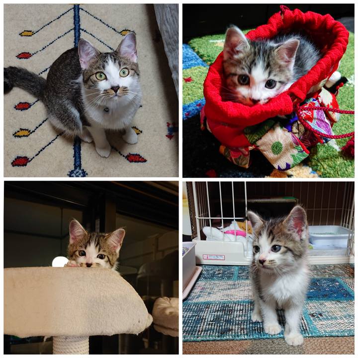 B3e45a68 c270 48b6 bd7b afad968074a8 1567295372654