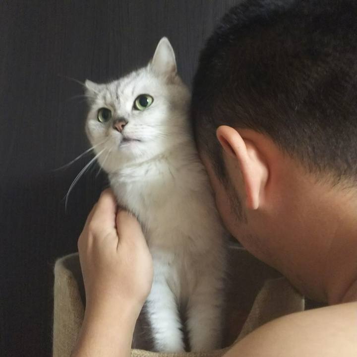 B3e46458 3eeb 431b ba16 4d38be346fcf 1512829712545