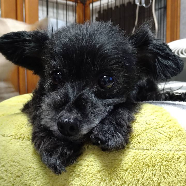 B3e4a22c 65ee 41c9 9a1f 83022c9cdb1f 1643104762061