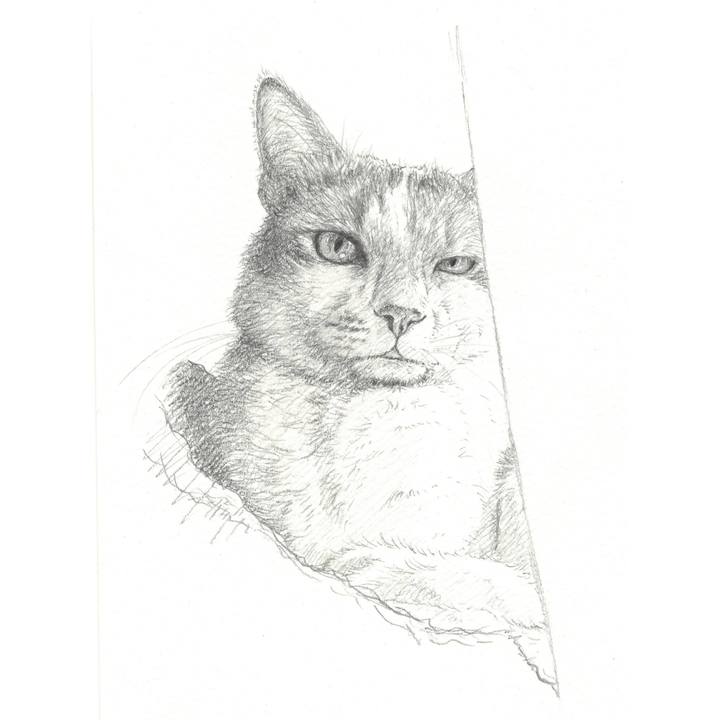 B3e4a5c0 1f2b 472a b5ec 8f2b5045c9d4 1553176746596