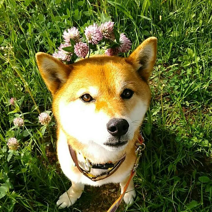 B3e4aa7c 68db 4177 84ac e31f6ea7bec2 1557472651363