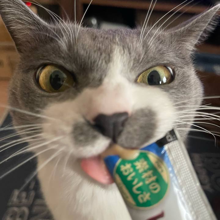 B3e4d065 5393 44d6 b757 557d3edff042 1701157757568