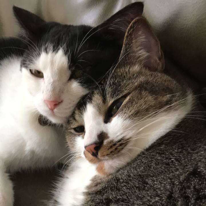 B3e4d4dd fb70 4460 a0eb 24a7c73464b1 1531275206839