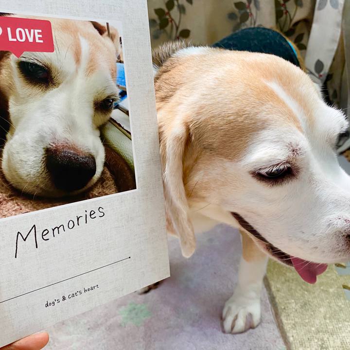 B3e4dc97 7b12 44e7 ad80 766ebe516a70 1598930781481