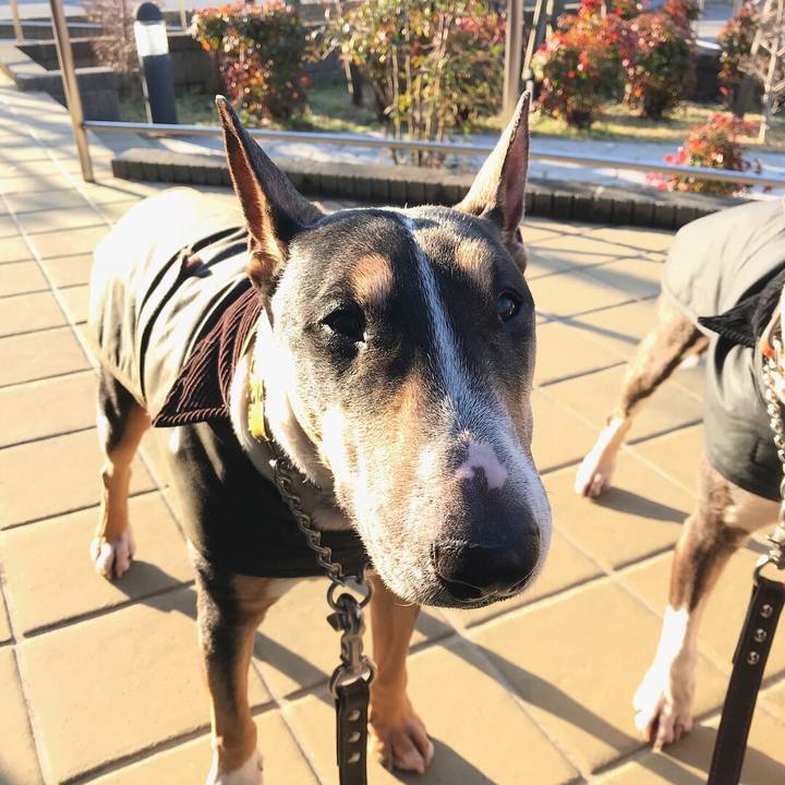 B3e4deef 2844 4e4a ba35 5c42d9fac8e6 1520745031902