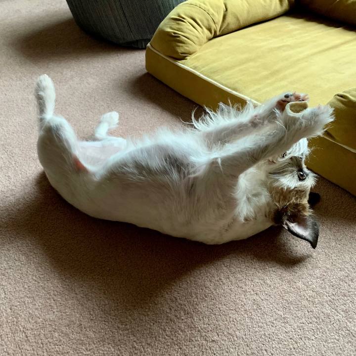 B3e50a27 456e 41e3 ad91 b90ff2bb8d4c 1682488009567