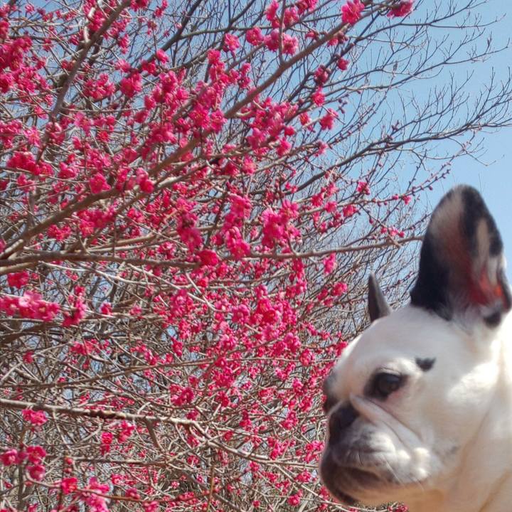 B3e50d86 5929 4cbc b008 9bf6542cbb00 1646967246439