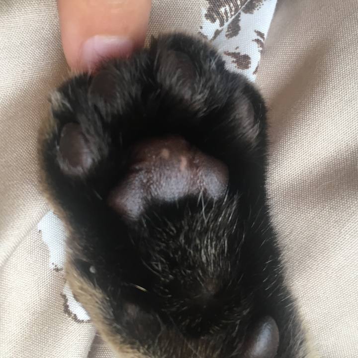 B3e52610 5263 474a aa3f 8711a1952436 1582520638027