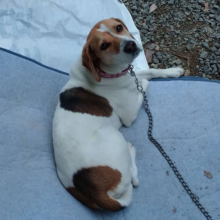 B3e54711 6944 491a aa70 1857d38c9b56 1587200032694