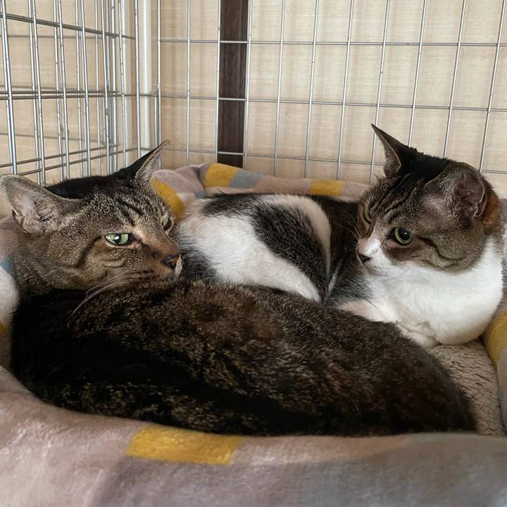 B3e56742 e13e 4557 8b8e 9d8a94c74aac 1630979921685