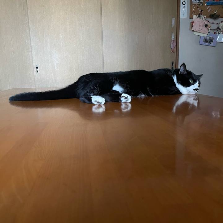 B3e58ede ecb8 4780 8b19 44925c611367 1722241911044