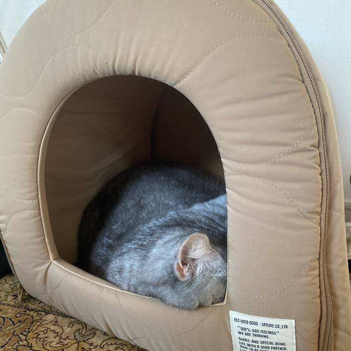 B3e5b0f6 9f19 4450 99e2 ba353c7e2332 1735623704841